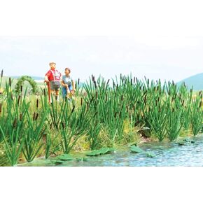 HO Scale Cattails (Water Plants) Kit (Makes 60 Plants)