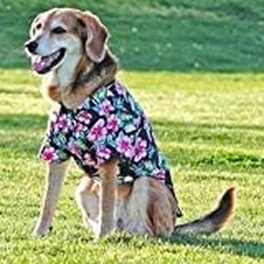 DOGGIE DESIGN Hawaiian Camp Dog Shirt (Paradise Nights, XS)