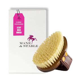 Horse Grooming Brush - Mud & Dirt Removal | Stiff Sisal Bristles | Ideal For Your Horse Brush Set | Compact Size For Hard-to-Reach Areas | Premium Equine Care Tool For Your Horse Grooming Kit