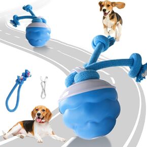 2025 New Shaky Ball Toy for Dogs, Vibrating Dog Toys, Shaking Ball Toy, Rechargeable Smart Interactive Dog Balls Suitable for All Dogs-1PC (Blue)