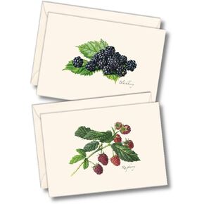 Earth Sky + Water - Berry Assortment II Notecard Set - 8 Blank Cards with Envelopes (4 each of 2 styles)