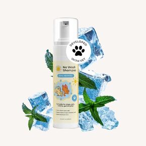 No Wash Shampoo Waterless No Rinse Dog Dry Shampoo with Cooling effect to Clean for smelly dogs. Suitable Cat shampoo for dandruff. Developed with vet in Singapore- Minty Fresh- 6.8 fl oz