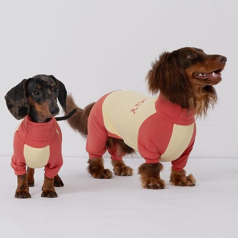 Dachshund Dog Cooling Summer Shirt, UPF50+ Four-Legged Sun Protection Clothes, Quick-Dry Summer Shirt for Dachshund and mini Dachshund (Small) in Kuwait