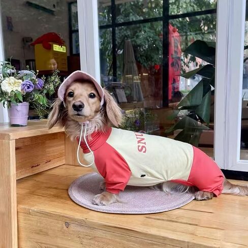 Dachshund Dog Cooling Summer Shirt, UPF50+ Four-Legged Sun Protection Clothes, Quick-Dry Summer Shirt for Dachshund and mini Dachshund (Small) in Kuwait