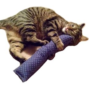 15 "لعبة كيكر كات مع Catnip Pocket (الدنيم) - مملوءة بالنيشاد الكندي الممتاز