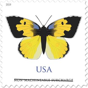 USPS California Dogface Butterfly (5 Sheets of 20) Non-Machineable for Square Envelopes Postage Stamps 2019 Scott #5346