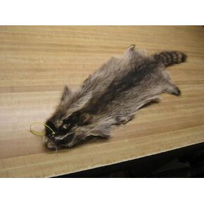راكون داوقة Hide #2 جودة معاطف الفراء pelt