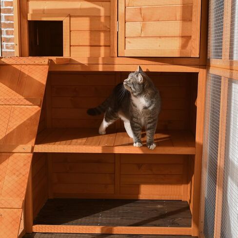 Pawhut Catio Outdoor Cat patio ، فناء Cat خشبي مع منصات ، سقف إسفلت مقاوم للماء ، سلالم ، 77 "L ، طبيعي in Kuwait
