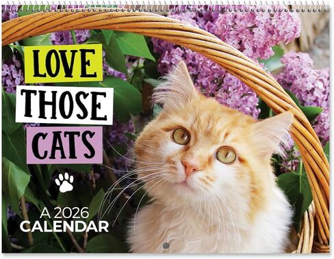 Current 2026 Cattitudes Cat Wall Calendar, 12-Inch x 9-Inch Size Closed, 18-Inch Size Open, Large Bookstore-Quality, Spiral-Bound Hanging Monthly Wall Calendars for Kitchen & Office in Saudi Arabia