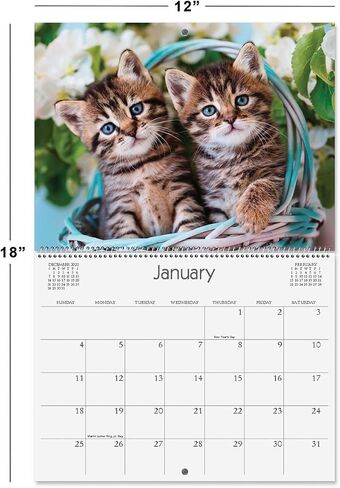 Current 2026 Cattitudes Cat Wall Calendar, 12-Inch x 9-Inch Size Closed, 18-Inch Size Open, Large Bookstore-Quality, Spiral-Bound Hanging Monthly Wall Calendars for Kitchen & Office in Saudi Arabia
