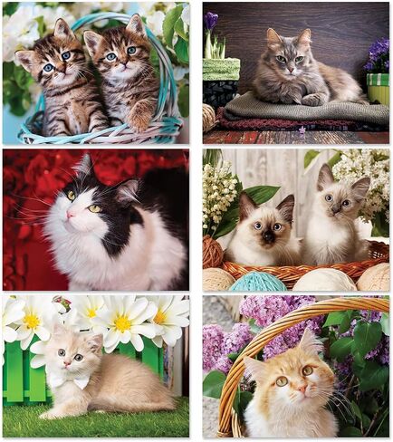 Current 2026 Cattitudes Cat Wall Calendar, 12-Inch x 9-Inch Size Closed, 18-Inch Size Open, Large Bookstore-Quality, Spiral-Bound Hanging Monthly Wall Calendars for Kitchen & Office in Saudi Arabia