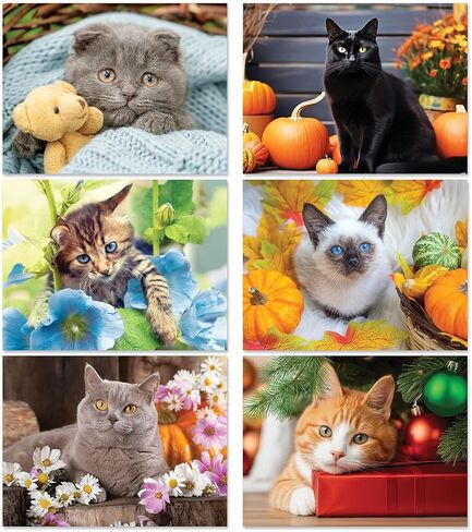 Current 2026 Cattitudes Cat Wall Calendar, 12-Inch x 9-Inch Size Closed, 18-Inch Size Open, Large Bookstore-Quality, Spiral-Bound Hanging Monthly Wall Calendars for Kitchen & Office in Saudi Arabia