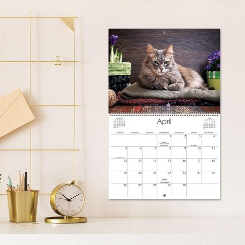 Current 2026 Cattitudes Cat Wall Calendar, 12-Inch x 9-Inch Size Closed, 18-Inch Size Open, Large Bookstore-Quality, Spiral-Bound Hanging Monthly Wall Calendars for Kitchen & Office in Saudi Arabia