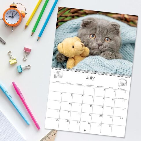 Current 2026 Cattitudes Cat Wall Calendar, 12-Inch x 9-Inch Size Closed, 18-Inch Size Open, Large Bookstore-Quality, Spiral-Bound Hanging Monthly Wall Calendars for Kitchen & Office in Saudi Arabia