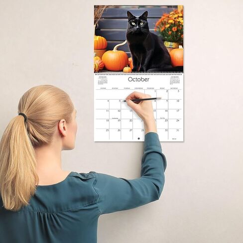 Current 2026 Cattitudes Cat Wall Calendar, 12-Inch x 9-Inch Size Closed, 18-Inch Size Open, Large Bookstore-Quality, Spiral-Bound Hanging Monthly Wall Calendars for Kitchen & Office in Saudi Arabia