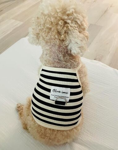 Cute Pet Tank Top Shirt with D-Ring Leash Hook, French-Inspired Black and White Stripe, XS, S, M, L, Cotton, Machine Washable, Ideal for Small to Medium Dogs & Cats (Black and White Stripes, Medium) in Saudi Arabia
