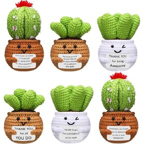 6 Pcs Positive Crochet Employee Appreciation Gifts Handmade Knitted Crochet Doll with Encouraging Card Cute Funny Emotional Thank You Gifts for Coworker Staff Teacher (Cactus)