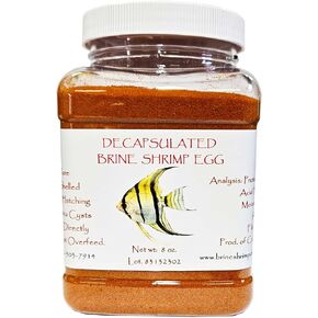 Decapsulated Brine Shrimp Eggs (Non-Hatching), 8 oz Jar
