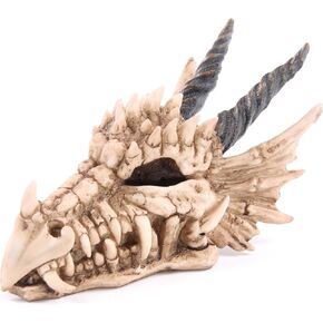 DRG186 Dragon Skull Money Box 19 x 11 x 11 cm, Mixed, Height 11cm Width 11cm Length 19cm Slot 3.5cm