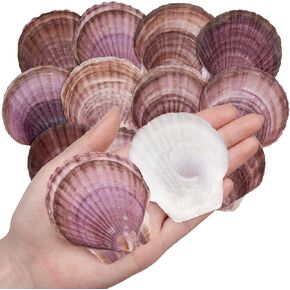 30PCS Natural Scallop Shells Purple Red Sea Shells, Real Seashells from Beach for DIY Crafts, Ocean Themed Party, Painting, and Wedding Decorations (2.8''–3.5'')