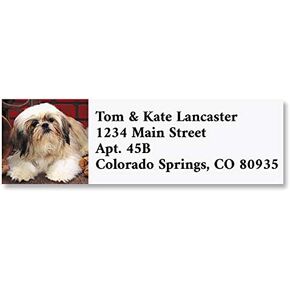 Shih Tzu Small Address Labels - Set of 240 2" x 5/8" Self-Adhesive, Flat-Sheet labels