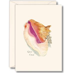Earth Sky + Water - Queen Conch Shell Boxed Note Cards