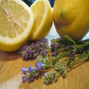 Lavender Lemon Fragrance Oil (16 oz Bottle) for Candle Making, Soap Making, Tart Making, Room Sprays, Lotions, Car Fresheners, Slime, Bath Bombs, Warmers…