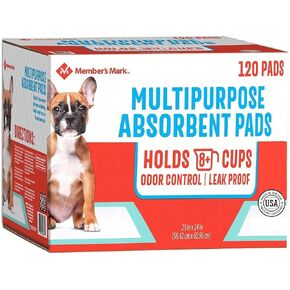 MEMBER'S MARK Pet Training Pads, 23 x 24, 2-pack Total 240 Count