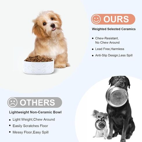 SPUNKYJUNKY Ceramic Dog and Cat Bowls 2 Pack, 5.1'' Dog and Cat Food Water Double Feeding Bowls Non-Slip for Cats and Puppy Small Sized Breed Dogs Microwave Dishwasher Safe - 13.5 OZ, 2pcs, Paw White in Kuwait
