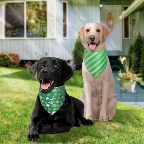 عيد الحب الكلب Bandana St Patricks Day و Easter Dog Bandana كبير 3pcs ، وشاح ملون للصبي والفتاة ، المثلث عكس المرايل. in Kuwait