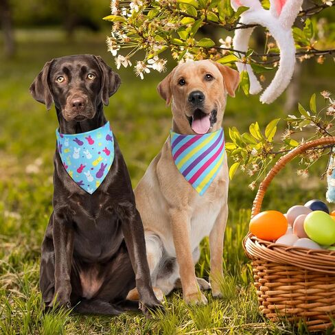 عيد الحب الكلب Bandana St Patricks Day و Easter Dog Bandana كبير 3pcs ، وشاح ملون للصبي والفتاة ، المثلث عكس المرايل. in Kuwait