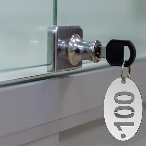 Hicarer Metal Numbered Tags Stainless Steel Number ID Key Tags with Holes Numbered Key Rings Chain(1-100, Rectangle,1.57 x 0.79 Inches) in Saudi Arabia