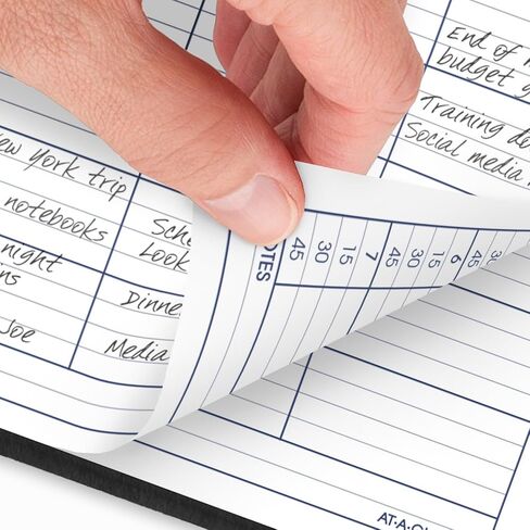 AT-A-GLANCE 2026 Appointment Book Planner, Daily, Four Person Group Planner, 8" x 11", Large, Quarter-Hourly, DayMinder, Black (G5600026) in Saudi Arabia