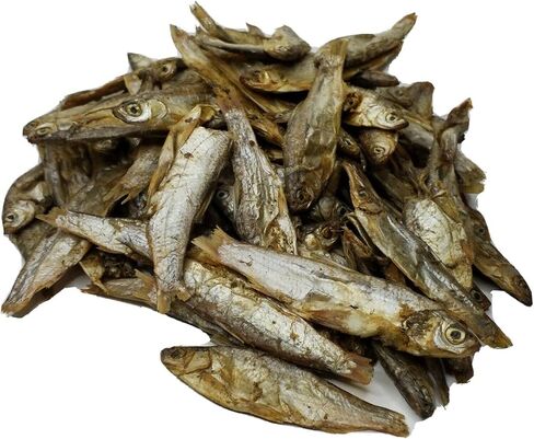 Foods Aquatic Foods Inc. 3 "- 5" تجميد المياه العذبة تجميد للبيرانها ، الأسماك الكبيرة ، السلاحف ، القطط ، طائرة شراعية السكر ، المارموس ، شينشيلات ، السناجب ، الهامستر ... 3 أوقية صغيرة الجرة in Kuwait