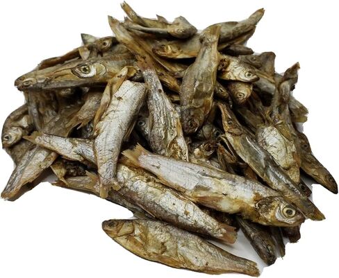 Foods Aquatic Foods Inc. 3 "- 5" تجميد المياه العذبة تجميد للبيرانها ، الأسماك الكبيرة ، السلاحف ، القطط ، طائرة شراعية السكر ، المارموس ، شينشيلات ، السناجب ، الهامستر ... 3 أوقية صغيرة الجرة in Saudi Arabia
