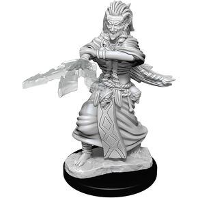 D&D Nolzur's Marvelous Miniatures: Night Hag & Dusk Hag