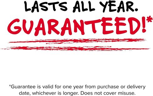 دفاتر ملاحظات حلزونية من خمس نجوم، 6 عبوات، دفاتر ملاحظات للجيب Fat Lil، ورق مسطر للكلية، 3-1/2 بوصة × 5-1/2 بوصة، صغير، 200 ورقة، أرجواني، برتقالي، أخضر، أزرق، رمادي، أسود (38027) ) in Kuwait