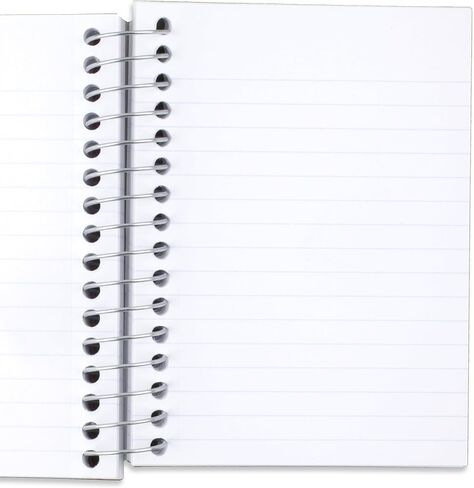 دفاتر ملاحظات حلزونية من خمس نجوم، 6 عبوات، دفاتر ملاحظات للجيب Fat Lil، ورق مسطر للكلية، 3-1/2 بوصة × 5-1/2 بوصة، صغير، 200 ورقة، أرجواني، برتقالي، أخضر، أزرق، رمادي، أسود (38027) ) in Kuwait