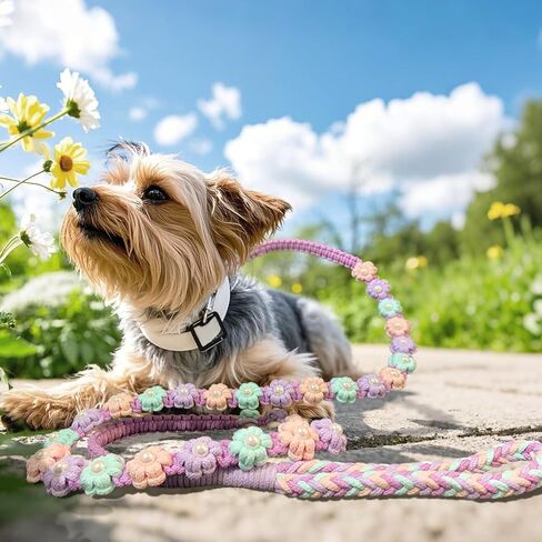 Handmade Braided Dog Leash with Floral Design, Soft Cotton Rope - Lightweight Spring Summer Leash for Small Medium Dogs, 59in Safe & Durable (Wisteria Whisper) in Kuwait