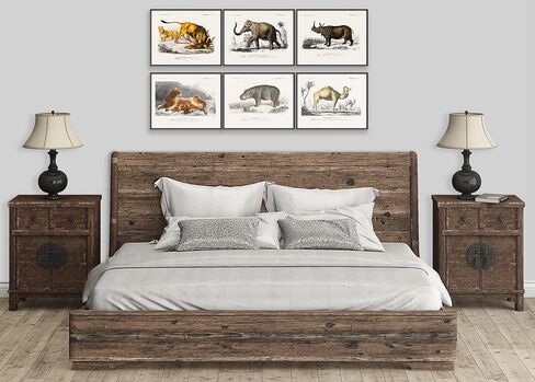 Vintage Bird Art Prints (Set of 6) - Unframed - 8x10s | Vintage Décor | Living Room Décor for Bird Lovers | Farmhouse Décor in Saudi Arabia