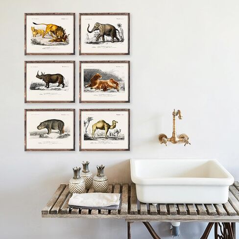 Vintage Bird Art Prints (Set of 6) - Unframed - 8x10s | Vintage Décor | Living Room Décor for Bird Lovers | Farmhouse Décor in Saudi Arabia