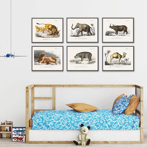 Vintage Bird Art Prints (Set of 6) - Unframed - 8x10s | Vintage Décor | Living Room Décor for Bird Lovers | Farmhouse Décor in Saudi Arabia