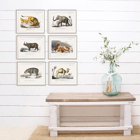 Vintage Bird Art Prints (Set of 6) - Unframed - 8x10s | Vintage Décor | Living Room Décor for Bird Lovers | Farmhouse Décor in Saudi Arabia