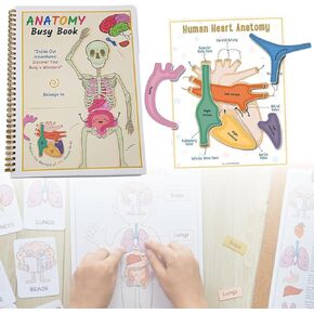 Busy Book for Kids - Human Body Anatomy Readings for Toddlers, Educational Toys Learning Materials for Preschool, 63 Pages, 1 Pcs