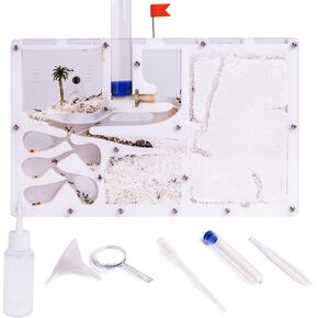 قلعة ANT FARM ، مجموعة تعلم علوم الموائل ، مزرعة النمل المباشرة ، أبحاث النظام الإيكولوجي ، السلوك المضاد للاستعمار ، استكشاف العالم في المدرسة المنزلية (بدون نمل مباشر) (أبيض)