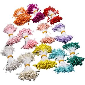 About 1680 Pieces Bright Double Head Flower Stamen Pistil DIY Making Mini Artificial Flower Stamen Pistil Handmade Flowers Pollens Stamens for Flower Making Scrapbook Decoration, Random Color