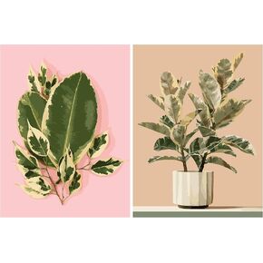 LikeyFactory Ficus Tineke Paint by Numbers Kit for Adults – 2-Pack 12"x16" Rolled Canvas with Brushes & Acrylic Paints DIY Botanical Art Set