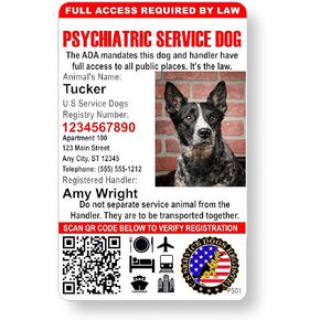 Just 4 Paws Custom Psychiatric Service Dog ID Card with QR Code & Security Seal and Optional Holograph | Registration to U S Service Dogs Registry Plus ID Holder & Digital ID - Portrait Style