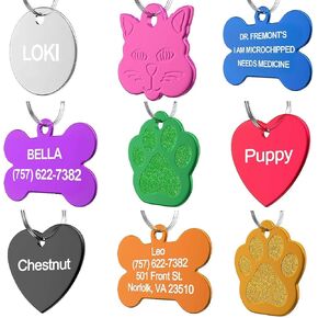 Pet ID Tag Custom for Dog Cat Personalized | Many Shapes and Colors to Choose from | Made in USA | Strong Anodized Aluminum (Circle Silver, Small)