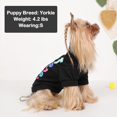 4Pack Dog Dorts for Dogs Small Girl Boy Dog Shirt Sit Soft Swaysy Puppy Clotherless Sweetshirt switshirt small outfit to Chihuahua Yorkie ، XS ، Group2 in Kuwait